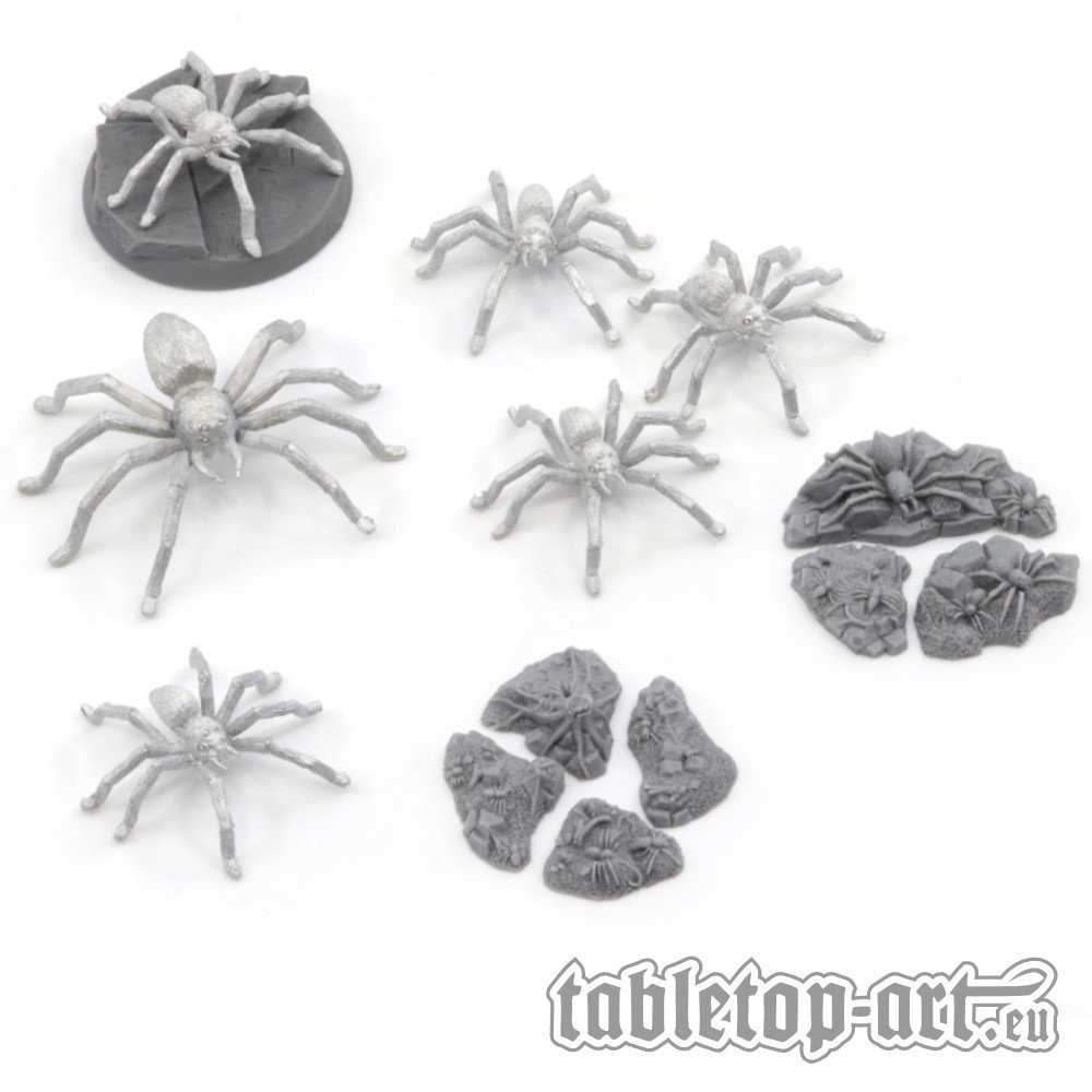 Spiders, spiders and more spiders - Coming soon - Spiders, spiders and more spiders - Coming soon