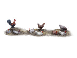 Chickens and rooster - Set 2