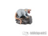 Giant Rats (4)