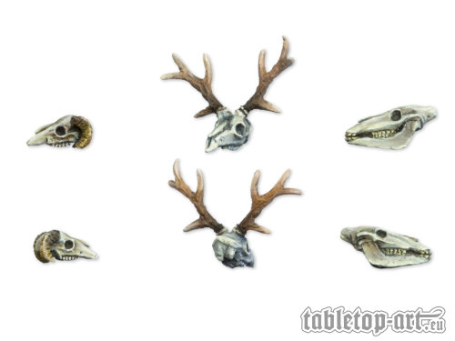 *Tabletop Art* Animal Skulls Set 